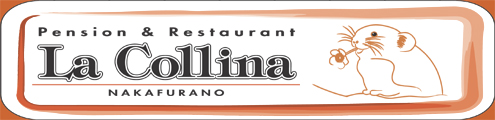 Pension & Restaurant La Collina