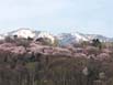 富良野