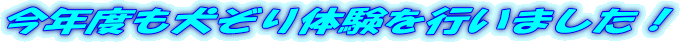 今年度も犬ぞり体験を行いました！
