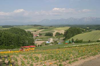 IMG_2593